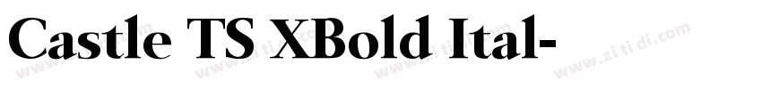 Castle TS XBold Ital字体转换 Castle TS XBold Ital字体转换